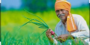 ३६ हजार ५७५ कोटी रुपयांच्या शेतकरी कर्जमाफीला अखेर मंजुरी